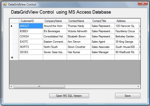 How To Bind Data To The Windows Forms DataGridView Control | SourceCodester